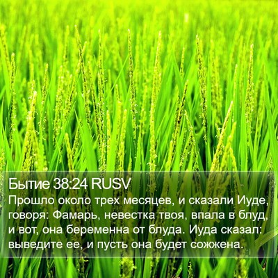 Бытие 38:24 RUSV Bible Verse Image