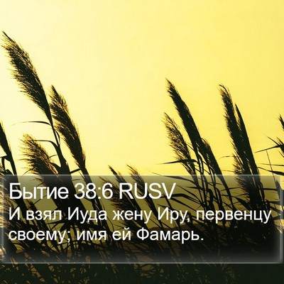 Бытие 38:6 RUSV Bible Verse Image
