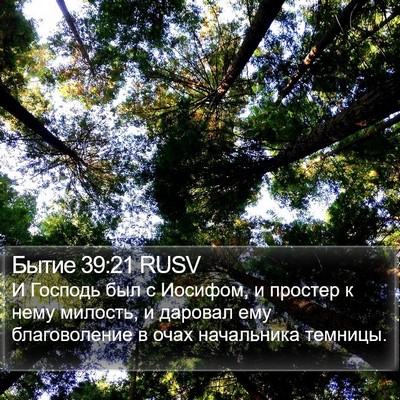 Бытие 39:21 RUSV Bible Verse Image