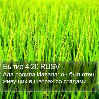 Бытие 4:20 RUSV Bible Verse Image
