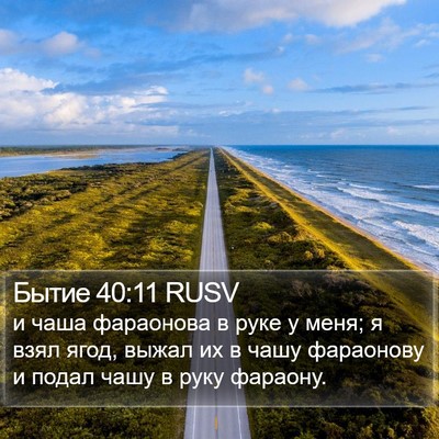 Бытие 40:11 RUSV Bible Verse Image
