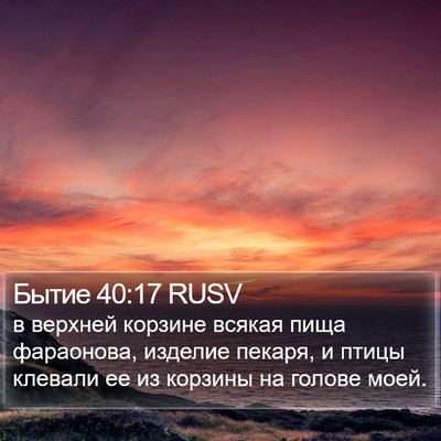 Бытие 40:17 RUSV Bible Verse Image
