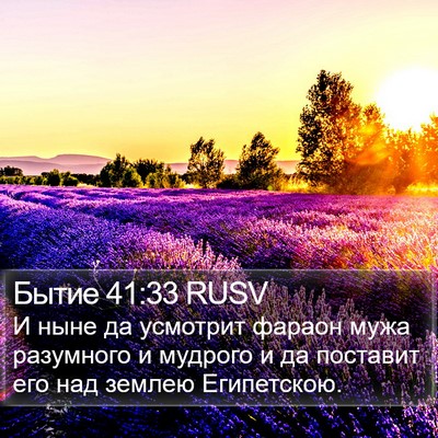 Бытие 41:33 RUSV Bible Verse Image