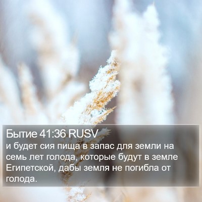 Бытие 41:36 RUSV Bible Verse Image