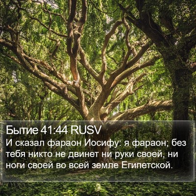 Бытие 41:44 RUSV Bible Verse Image