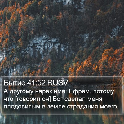 Бытие 41:52 RUSV Bible Verse Image