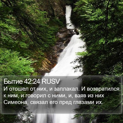 Бытие 42:24 RUSV Bible Verse Image