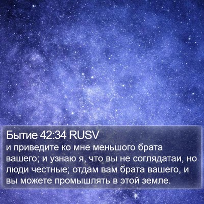 Бытие 42:34 RUSV Bible Verse Image