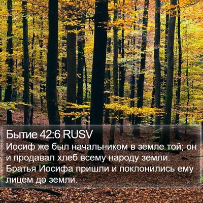 Бытие 42:6 RUSV Bible Verse Image