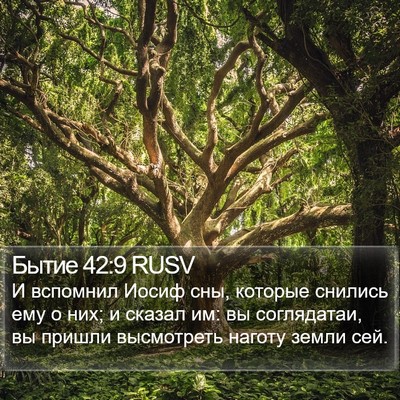 Бытие 42:9 RUSV Bible Verse Image