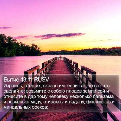 Бытие 43:11 RUSV Bible Verse Image