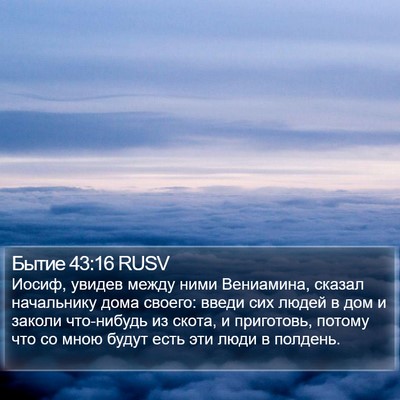 Бытие 43:16 RUSV Bible Verse Image