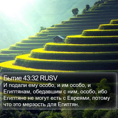 Бытие 43:32 RUSV Bible Verse Image