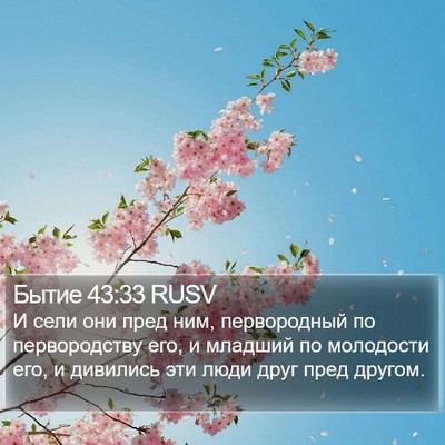 Бытие 43:33 RUSV Bible Verse Image