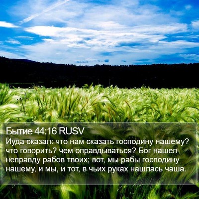 Бытие 44:16 RUSV Bible Verse Image