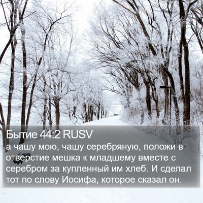 Бытие 44:2 RUSV Bible Verse Image