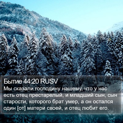 Бытие 44:20 RUSV Bible Verse Image