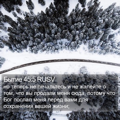 Бытие 45:5 RUSV Bible Verse Image