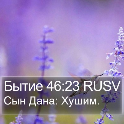 Бытие 46:23 RUSV Bible Verse Image