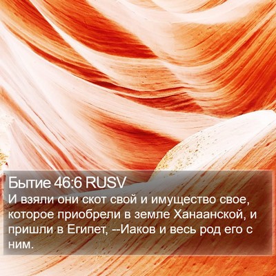 Бытие 46:6 RUSV Bible Verse Image