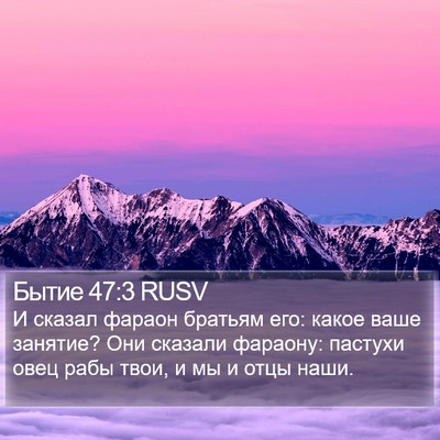 Бытие 47:3 RUSV Bible Verse Image