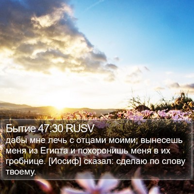 Бытие 47:30 RUSV Bible Verse Image