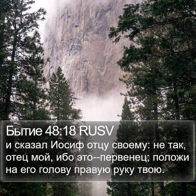 Бытие 48:18 RUSV Bible Verse Image