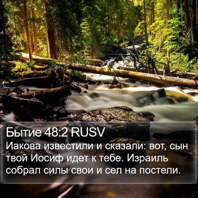Бытие 48:2 RUSV Bible Verse Image