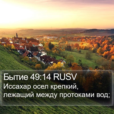 Бытие 49:14 RUSV Bible Verse Image
