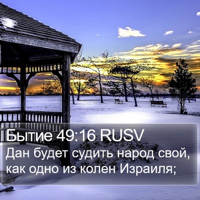 Бытие 49:16 RUSV Bible Verse Image