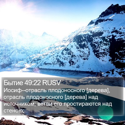 Бытие 49:22 RUSV Bible Verse Image