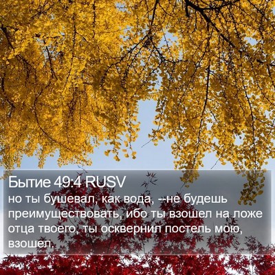 Бытие 49:4 RUSV Bible Verse Image