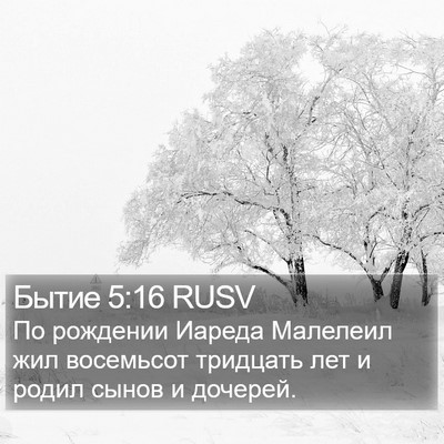 Бытие 5:16 RUSV Bible Verse Image