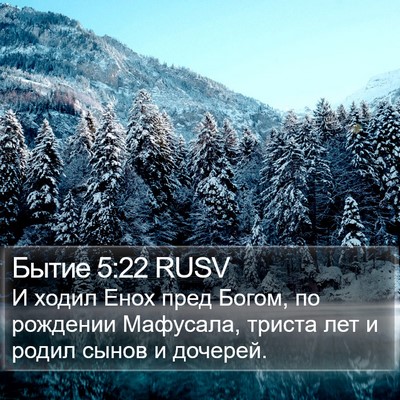 Бытие 5:22 RUSV Bible Verse Image