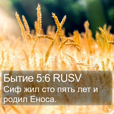 Бытие 5:6 RUSV Bible Verse Image