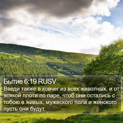 Бытие 6:19 RUSV Bible Verse Image