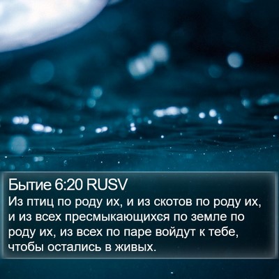 Бытие 6:20 RUSV Bible Verse Image