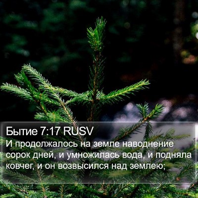 Бытие 7:17 RUSV Bible Verse Image