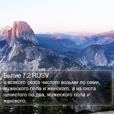 Бытие 7:2 RUSV Bible Verse Image
