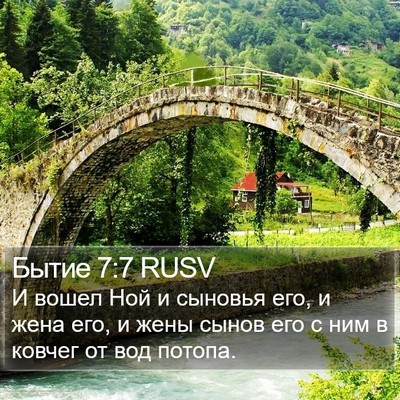Бытие 7:7 RUSV Bible Verse Image
