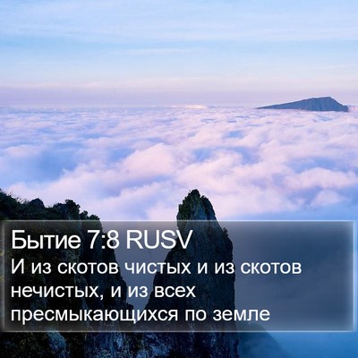Бытие 7:8 RUSV Bible Verse Image