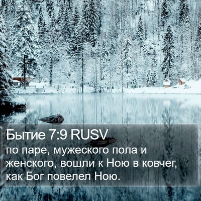 Бытие 7:9 RUSV Bible Verse Image