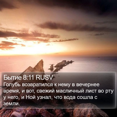 Бытие 8:11 RUSV Bible Verse Image