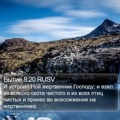 Бытие 8:20 RUSV Bible Verse Image