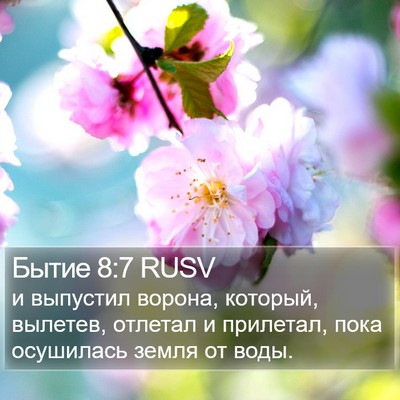 Бытие 8:7 RUSV Bible Verse Image