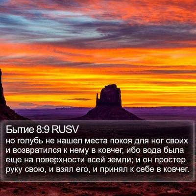 Бытие 8:9 RUSV Bible Verse Image