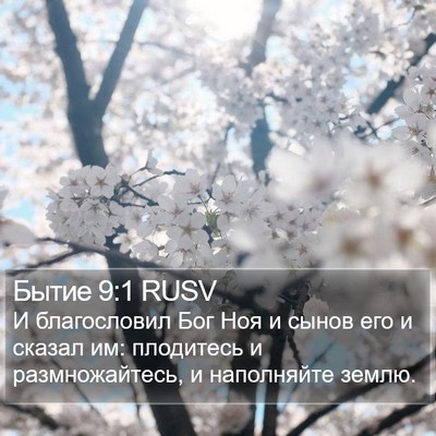 Бытие 9:1 RUSV Bible Verse Image