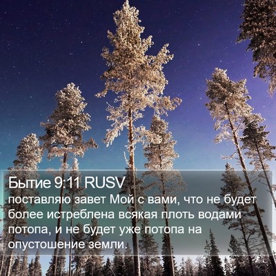 Бытие 9:11 RUSV Bible Verse Image