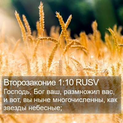 Второзаконие 1:10 RUSV Bible Verse Image