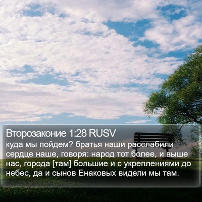 Второзаконие 1:28 RUSV Bible Verse Image